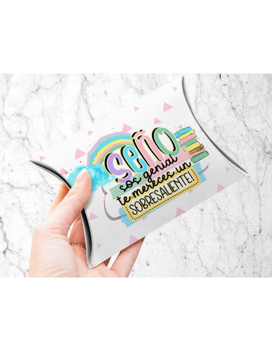 CAJA ALMOHADA DIA DEL MAESTRO