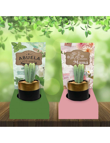 BASE PARA CACTUS-VASO CAFE DIA DE LA MADRE