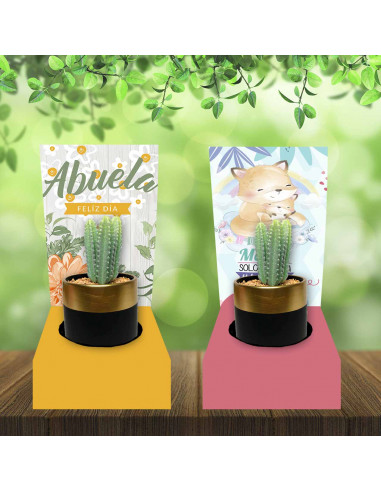 BASE PARA CACTUS-VASO CAFE DIA DE LA...