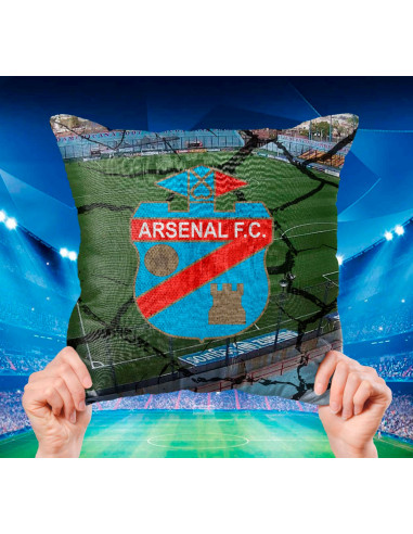 ALMOHADONES CUADROS DE FUTBOL