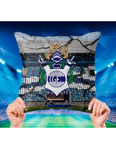 ALMOHADONES CUADROS DE FUTBOL