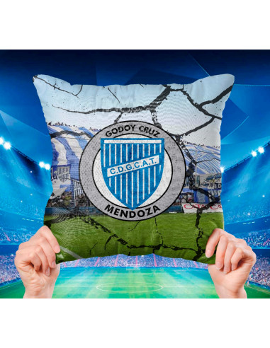 ALMOHADONES CUADROS DE FUTBOL