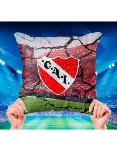 ALMOHADONES CUADROS DE FUTBOL