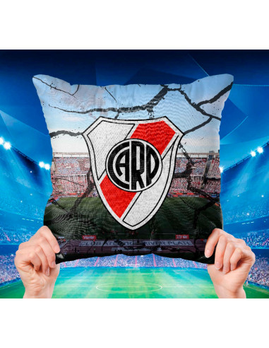 ALMOHADONES CUADROS DE FUTBOL