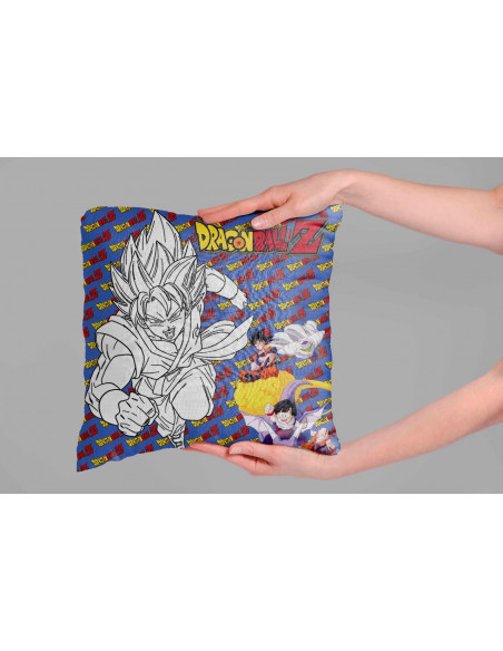 Almohadones para colorear pintar 2022