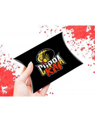 Cobra kai llavero y cajitas