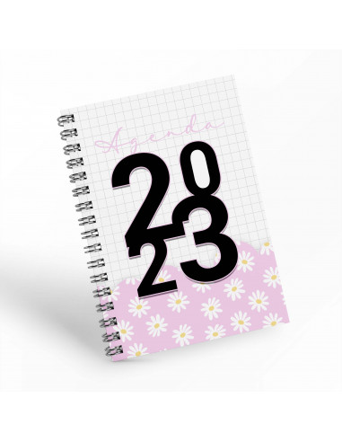AGENDAS 2023 AGENDAS 2023