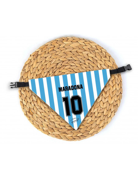 Collar bandana perros