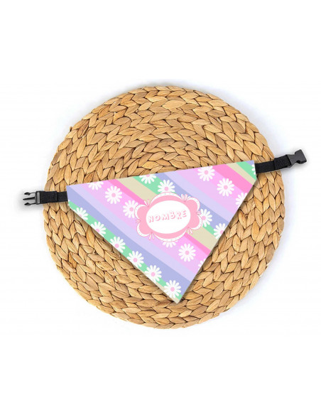 Collar bandana perros