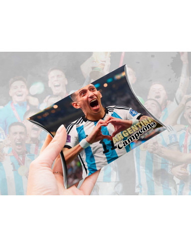 Caja almohada Argentina Campeón Caja almohada Argentina Campeón