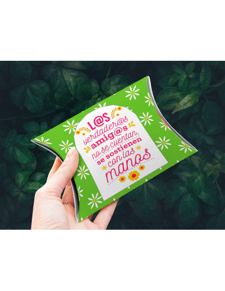 copy of Caja almohada día del amigo flork