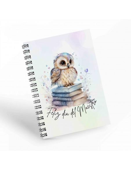 Cuadernos día del Maestro