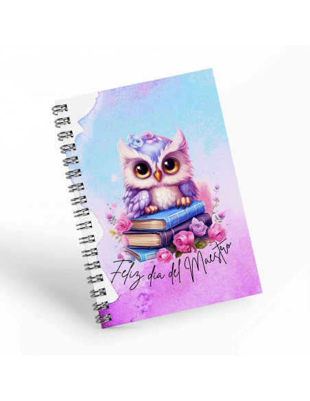 Cuadernos día del Maestro