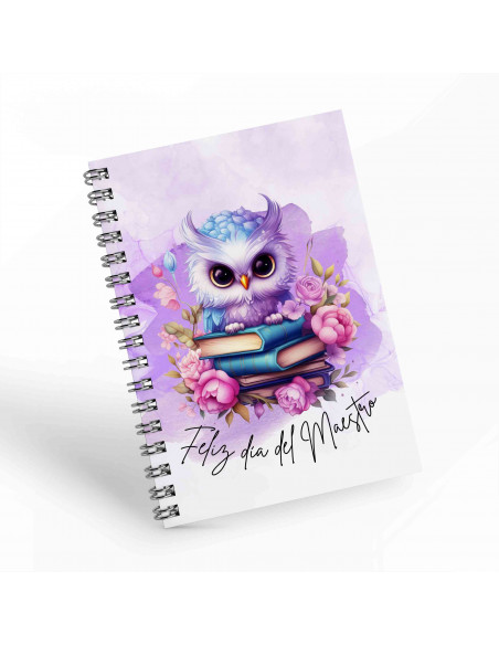 Cuadernos día del Maestro