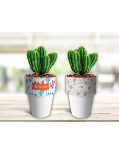 VASOS/MACETAS CACTUS 2