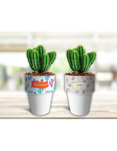 VASOS/MACETAS CACTUS