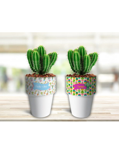 VASOS/MACETAS CACTUS