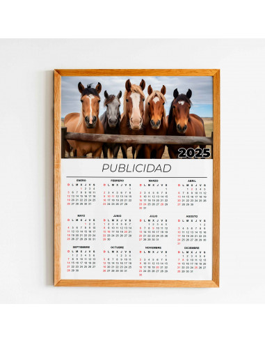 CALENDARIO 2025 PARA FOTO Y/O PUBLICIDAD