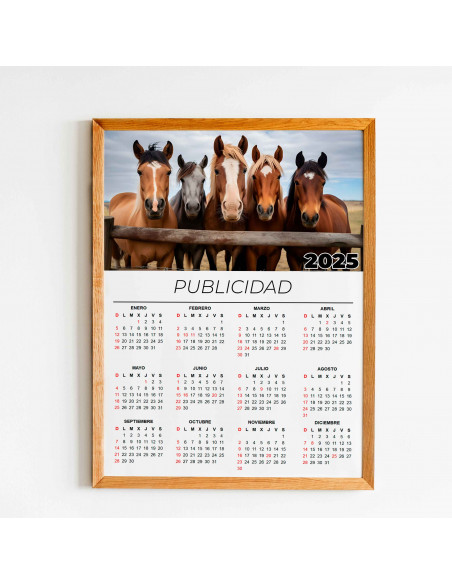 CALENDARIO 2025 PARA FOTO Y/O PUBLICIDAD
