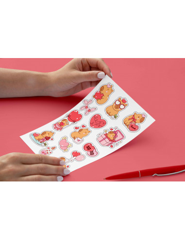 SUPER PACK STICKERS CAPYBARA CARPINCHO
