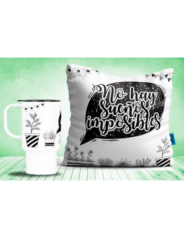 PACK CACTUS ALMOHADON Y JARRO