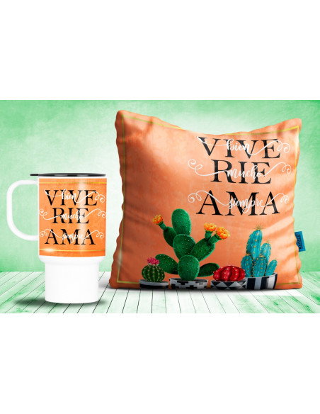 PACK CACTUS ALMOHADON Y JARRO