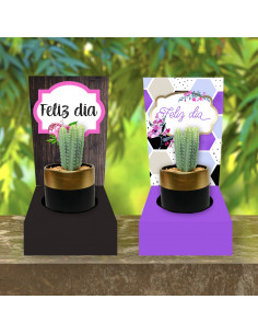 BASE PARA CACTUS-VASO CAFE 2