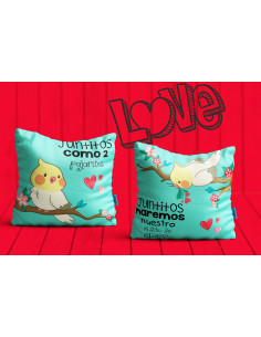 Almohadón San Valentín 2