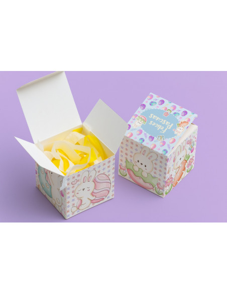 CAJA CUBO PASCUAS