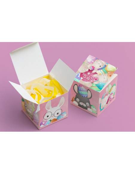 CAJA CUBO PASCUAS