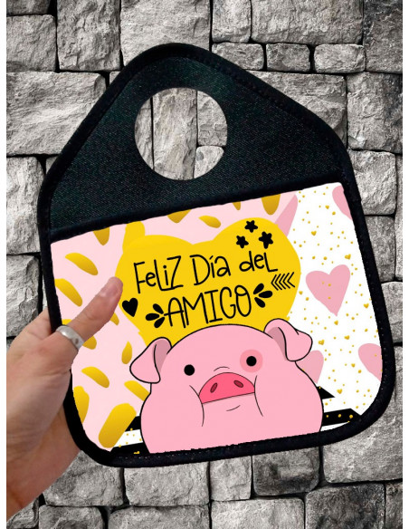 PALANQUERA DIA DEL AMIGO