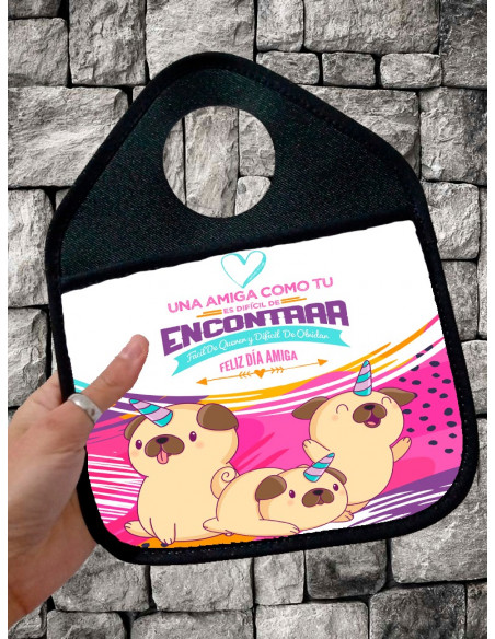 PALANQUERA DIA DEL AMIGO