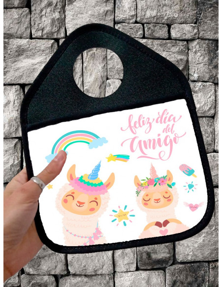 PALANQUERA DIA DEL AMIGO