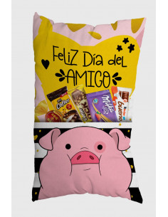 ALMOHADONES CON BOLSILLO...